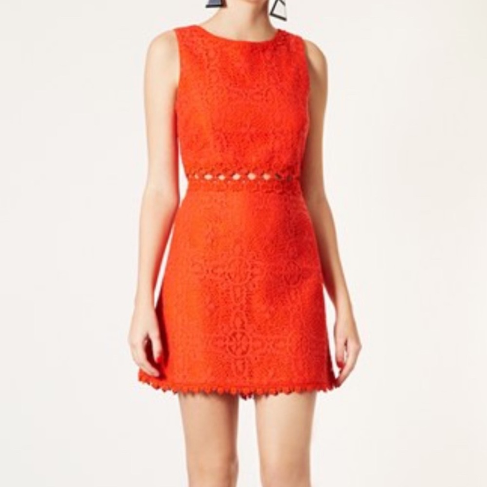 Topshop Crochet Orange Dress